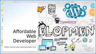 Affordable Web Developer.ppt