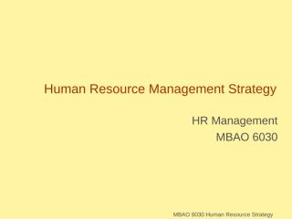 Human Resource Management Strategy.ppt