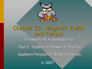 Torque in Magnetic Field.pdf