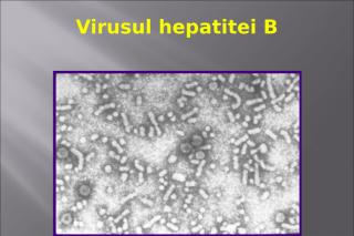 Hepatita B 2013.ppt
