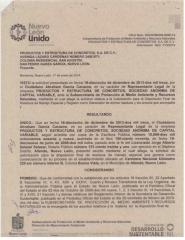 Autorización RME Pyecsa Allende.pdf