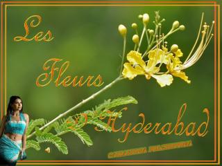 Les_Fleurs_d_Hyderabad_j50.pps